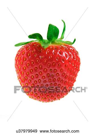 Stock Photo - Studio shot of strawberries on white background. Fotosearch