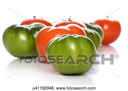 Stock Photograph - Studio shot of tomatoes on white background. Fotosearch
