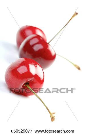 Three cherries on white backround View Large Photo Image Stock Photo - Three cherries on white backround. Fotosearch