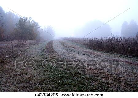 Stock Photography - View of road on meadow. Fotosearch