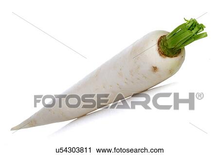 White rabbit on white background View Large Photo Image Stock Image - White rabbit on white background. Fotosearch
