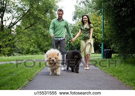 Young couple walking with pet dogs View Large Photo Image Stock Photography - Young couple walking with pet dogs. Fotosearch