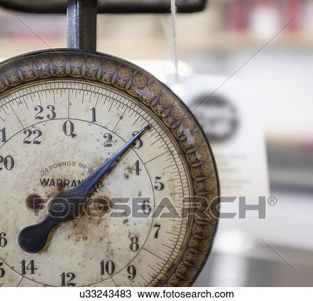 Close-up of scale View Large Photo Image Stock Image - Close-up of scale. Fotosearch