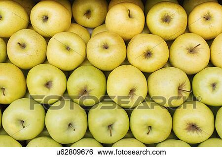Close up of yellow apples View Large Photo Image Stock Photograph - Close up of yellow apples. Fotosearch