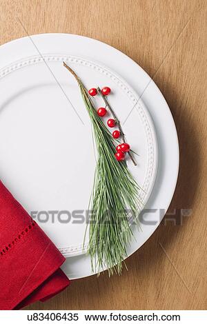 Stock Photography - Elevated view of twig on plate. Fotosearch