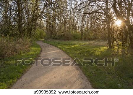 Footpath in park View Large Photo Image Stock Image - Footpath in park. Fotosearch