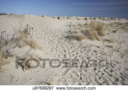 Footprints in sand View Large Photo Image Stock Photo - Footprints in sand. Fotosearch