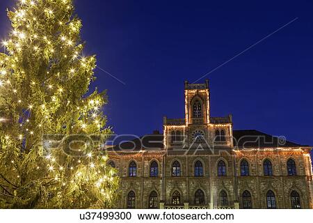 Illuminated Christmas tree and building facade View Large Photo Image Stock Image - Illuminated Christmas tree and building facade. Fotosearch