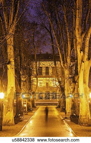 Stock Photo - Illuminated treelined alley. Fotosearch