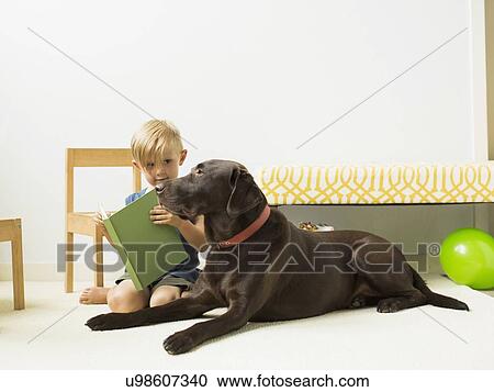 Little boy (2-3) playing with dog View Large Photo Image Stock Image - Little boy (2-3) playing with dog. Fotosearch