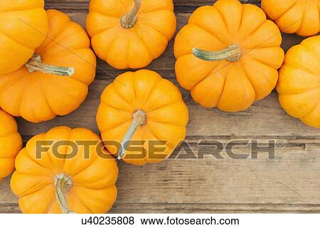 Overhead view of yellow pumpkins View Large Photo Image Stock Photo - Overhead view of yellow pumpkins. Fotosearch