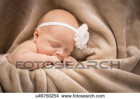 Portrait of newborn baby (0-1 months) View Large Photo Image Picture - Portrait of newborn baby (0-1 months). Fotosearch