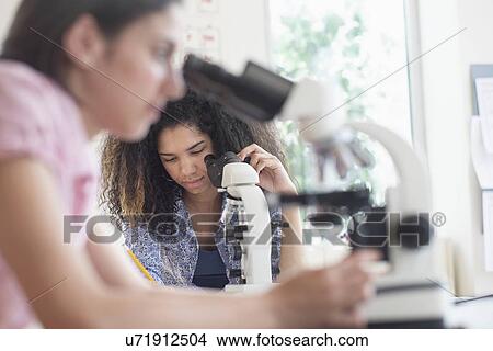 Picture - Teenage girls (14-15, 16-17) using microscope in science class. Fotosearch