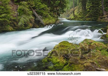 Stock Photography - View of McKenzie River. Fotosearch