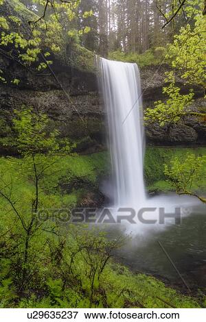 Stock Photo - Waterfall in forest. Fotosearch
