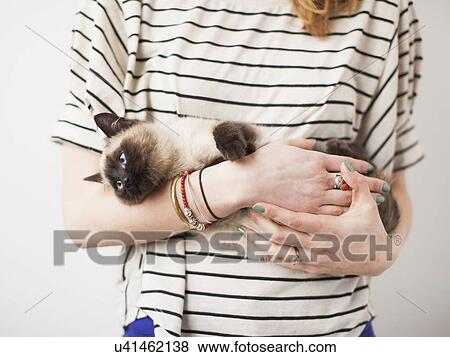 Woman holding Siamese cat View Large Photo Image Stock Photo - Woman holding Siamese cat. Fotosearch