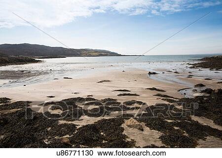 Stock Image - Beach on Loch Eishort, Isle of Skye, Hebrides, Scotland. Fotosearch