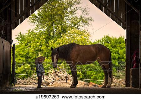 Boy standing with horse View Large Photo Image Stock Photo - Boy standing with horse. Fotosearch