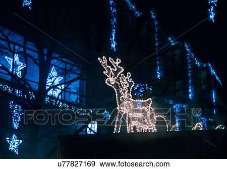 Stock Photo - Christmas reindeer and blue stars at night, Munich, Germany. Fotosearch