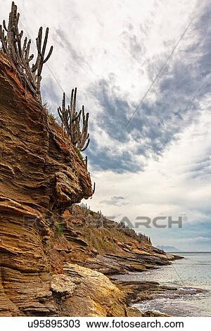 Eroded coastal rocks, Fernandes, Buzios, Rio de Janeiro, Brazil View Large Photo Image Stock Image - Eroded coastal rocks, Fernandes, Buzios, Rio de Janeiro, Brazil. Fotosearch