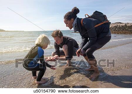 Stock Image - Family finding animal on beach, Loch Eishort, Isle of Skye, Hebrides, Scotland. Fotosearch