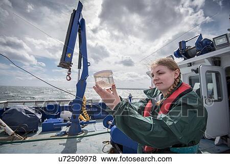 Female scientist inspecting sample of plankton on research ship View Large Photo Image Stock Photo - Female scientist inspecting sample of plankton on research ship. Fotosearch