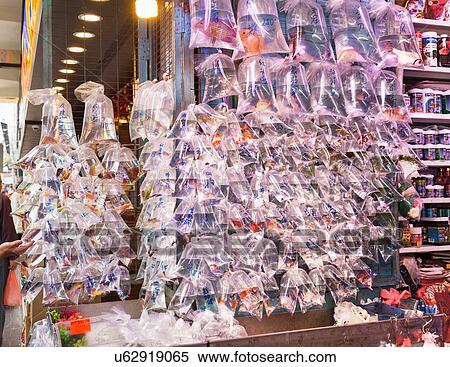 Stock Photography - Fish for sale, fish market, Mong Kok, Hong Kong, China. Fotosearch