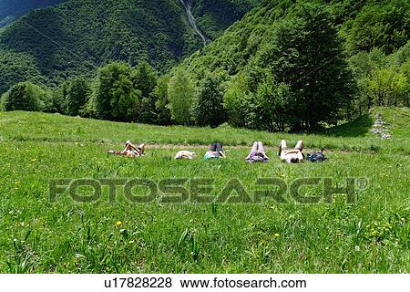 Five mature hikers lying in meadow taking a break View Large Photo Image Stock Photo - Five mature hikers lying in meadow taking a break. Fotosearch