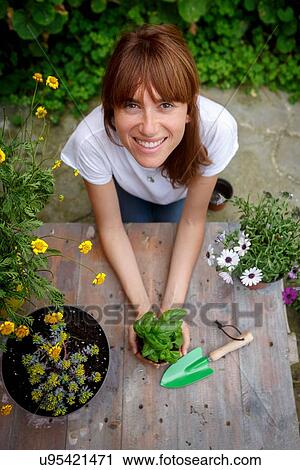 High angle view of mid adult woman holding basil plant, smiling at camera View Large Photo Image Stock Image - High angle view of mid adult woman holding basil plant, smiling at camera. Fotosearch