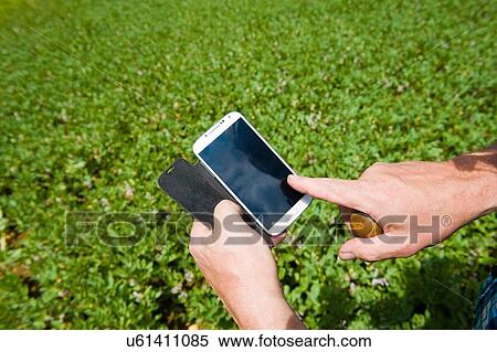 Male farmers hand using smartphone touchscreen in green field View Large Photo Image Stock Photography - Male farmers hand using smartphone touchscreen in green field. Fotosearch