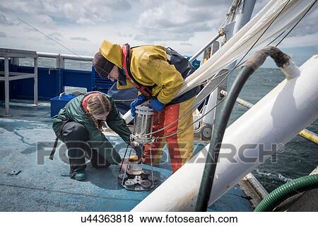 Marine biologist taking plankton samples from net on research ship View Large Photo Image Stock Photo - Marine biologist taking plankton samples from net on research ship. Fotosearch