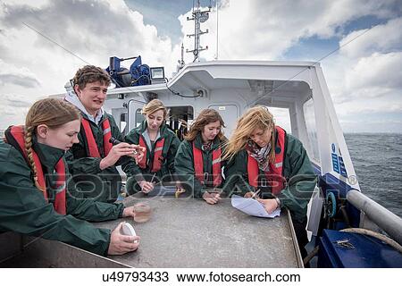 Marine biologists students inspecting plankton samples on research ship View Large Photo Image Stock Image - Marine biologists students inspecting plankton samples on research ship. Fotosearch