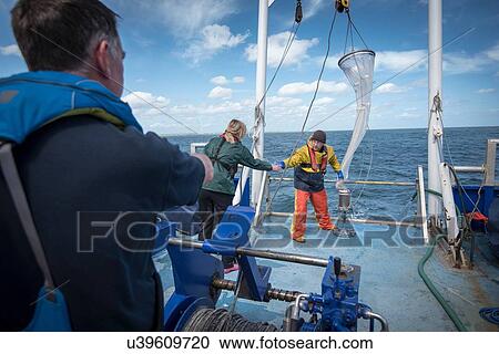 Marine biologists taking samples from plankton net on research ship View Large Photo Image Stock Image - Marine biologists taking samples from plankton net on research ship. Fotosearch