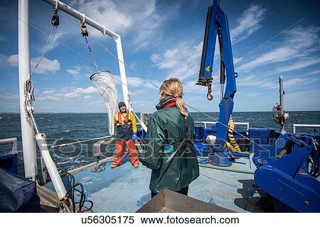 Stock Photography - Marine biologists taking samples from plankton net on research ship. Fotosearch