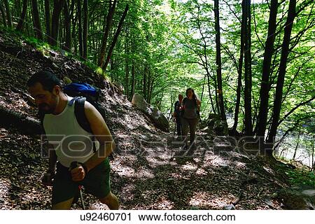 Mature male and female hikers hiking through forest View Large Photo Image Stock Image - Mature male and female hikers hiking through forest. Fotosearch