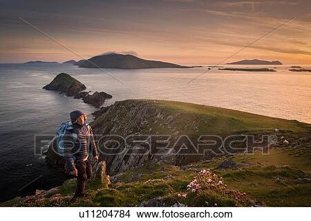 Picture - Mid adult man, hiking, Slea head, County Kerry, Ireland. Fotosearch