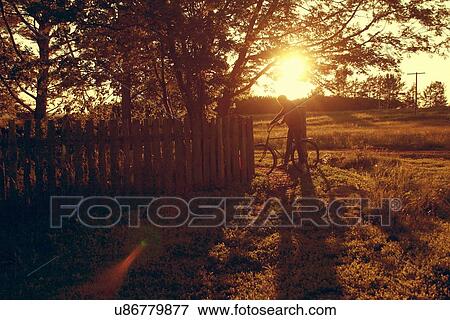 Stock Photo - Mid adult man riding bike through field, at sunset, Hurgada, Red Sea, Egypt. Fotosearch
