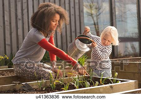 Stock Photograph - Mid adult woman helping son water plants in raised bed. Fotosearch