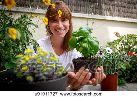 Mid adult woman holding basil plant in cupped hands, smiling at camera View Large Photo Image Stock Photo - Mid adult woman holding basil plant in cupped hands, smiling at camera. Fotosearch