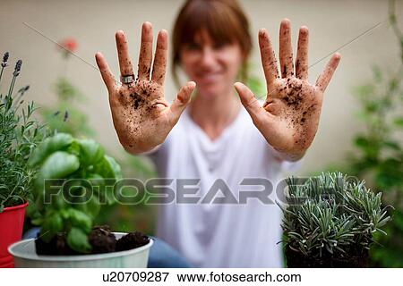 Stock Photo - Mid adult woman holding soil covered hands up. Fotosearch