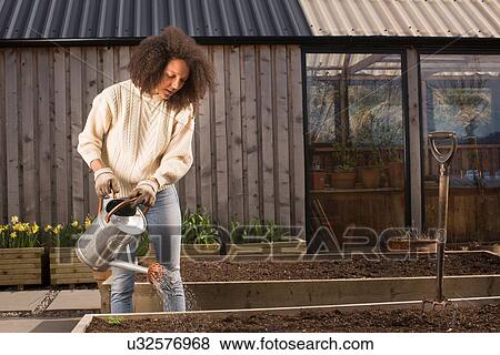 Stock Photo - Mid adult woman using watering can. Fotosearch