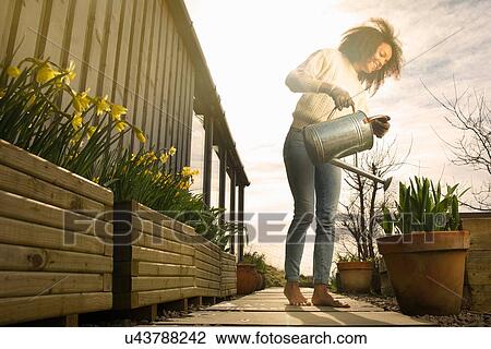 Stock Image - Mid adult woman watering flowers. Fotosearch