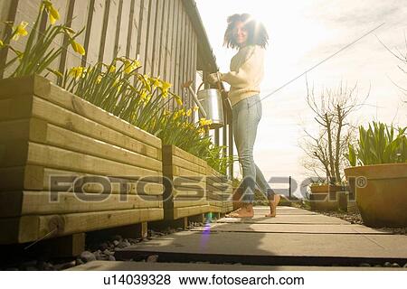 Mid adult woman watering flowers View Large Photo Image Stock Photo - Mid adult woman watering flowers. Fotosearch