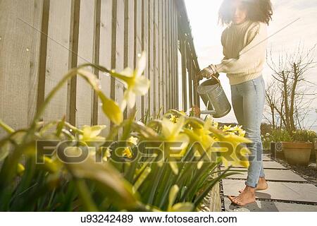 Mid adult woman watering flowers View Large Photo Image Stock Photo - Mid adult woman watering flowers. Fotosearch