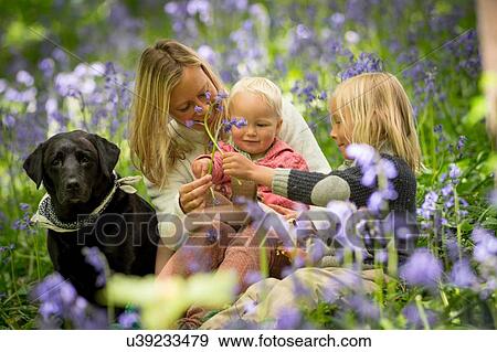 Stock Photo - Mother sitting with children and dog in bluebell forest. Fotosearch