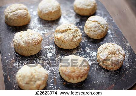 Picture - Nine freshly baked scones on baking tray. Fotosearch