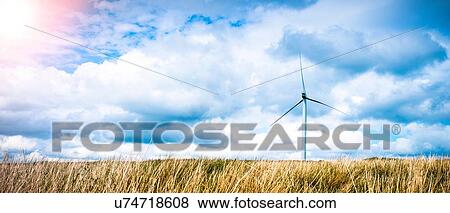 Stock Photo - Panoramic view of long grass and wind turbine, UK. Fotosearch