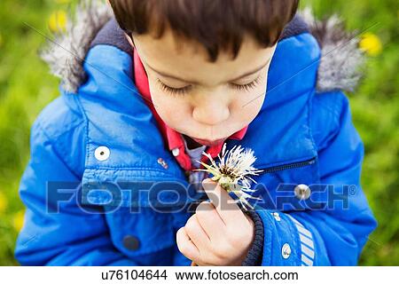 Portrait of boy in blue coat blowing dandelion clock View Large Photo Image Picture - Portrait of boy in blue coat blowing dandelion clock. Fotosearch