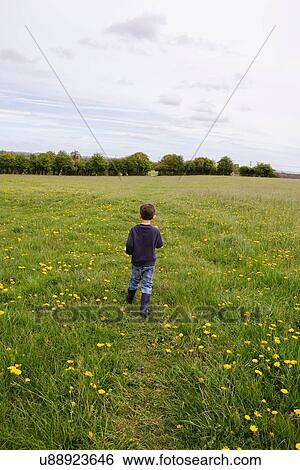 Rear view of boy walking through a field of dandelions and buttercups View Large Photo Image Stock Photograph - Rear view of boy walking through a field of dandelions and buttercups. Fotosearch