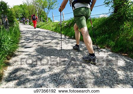Rear view of mature male and female hikers hiking on rural road View Large Photo Image Stock Image - Rear view of mature male and female hikers hiking on rural road. Fotosearch